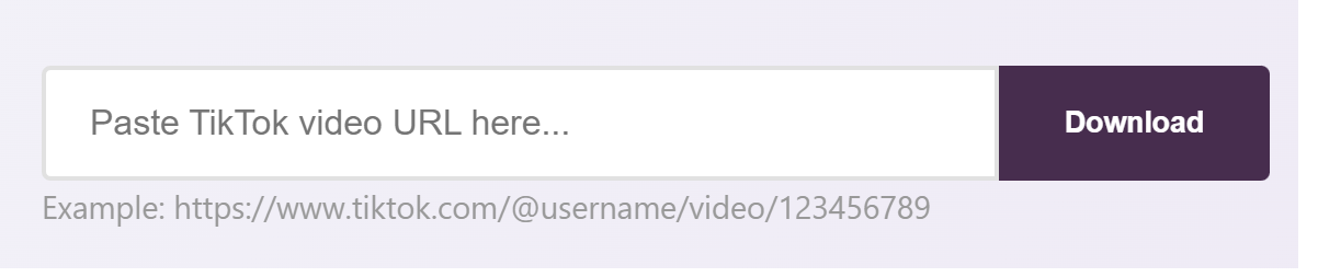 Download TikTok video